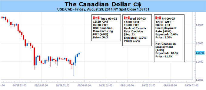 Canadian Dollar Faces Conflicting Cues from BOC, Key US Data