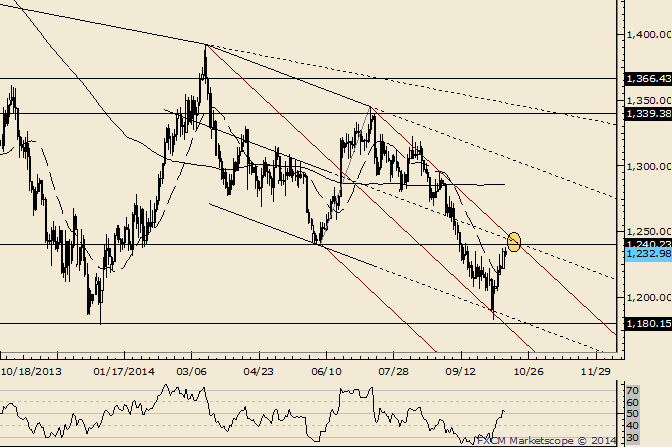 Gold 1240 Looms Large